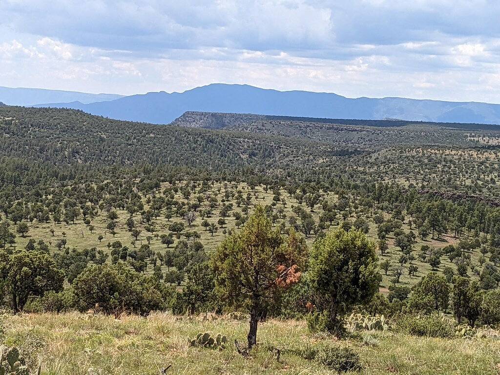 Hot Tub & Stars – Strawberry Spring Retreat in Strawberry, Gila County