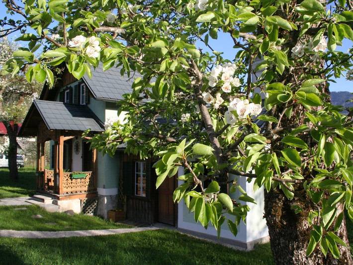 Ferienhaus für 4 Personen, mit Garten in Bad Goisern - 3