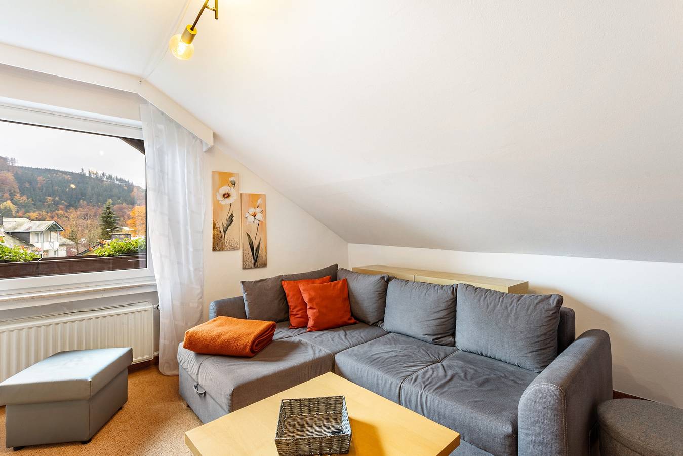 Ganze Wohnung, Haus Erika - Ferienwohnung 4 mit Wlan, Balkon und Gemeinschaftsgarten nahe Skywalk in Stryck, Willingen