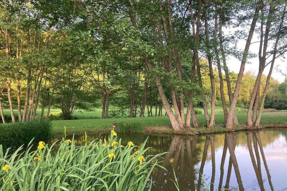 Gîte in the middle of nature with river and wood views in the Morvan region of France in Montigny-Saint-Barthélemy, Parque natural de Morvan