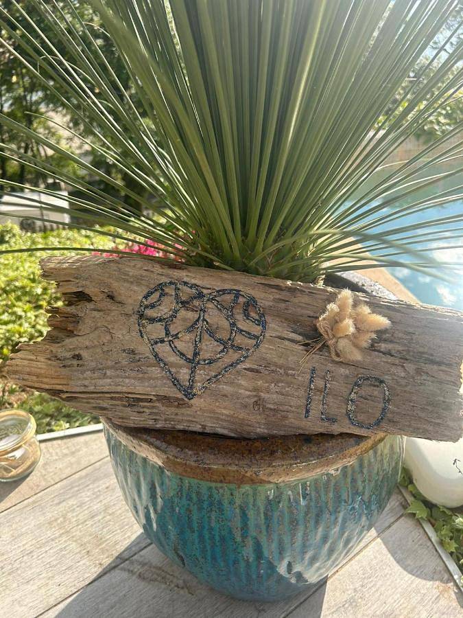 Location de vacances pour 2 personnes, avec jardin et piscine ainsi que balcon et vue dans Plage des Nonnes - 3