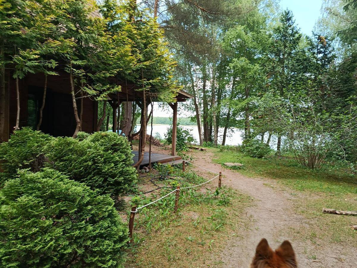Abies - dom nad Omulewem in Mazury