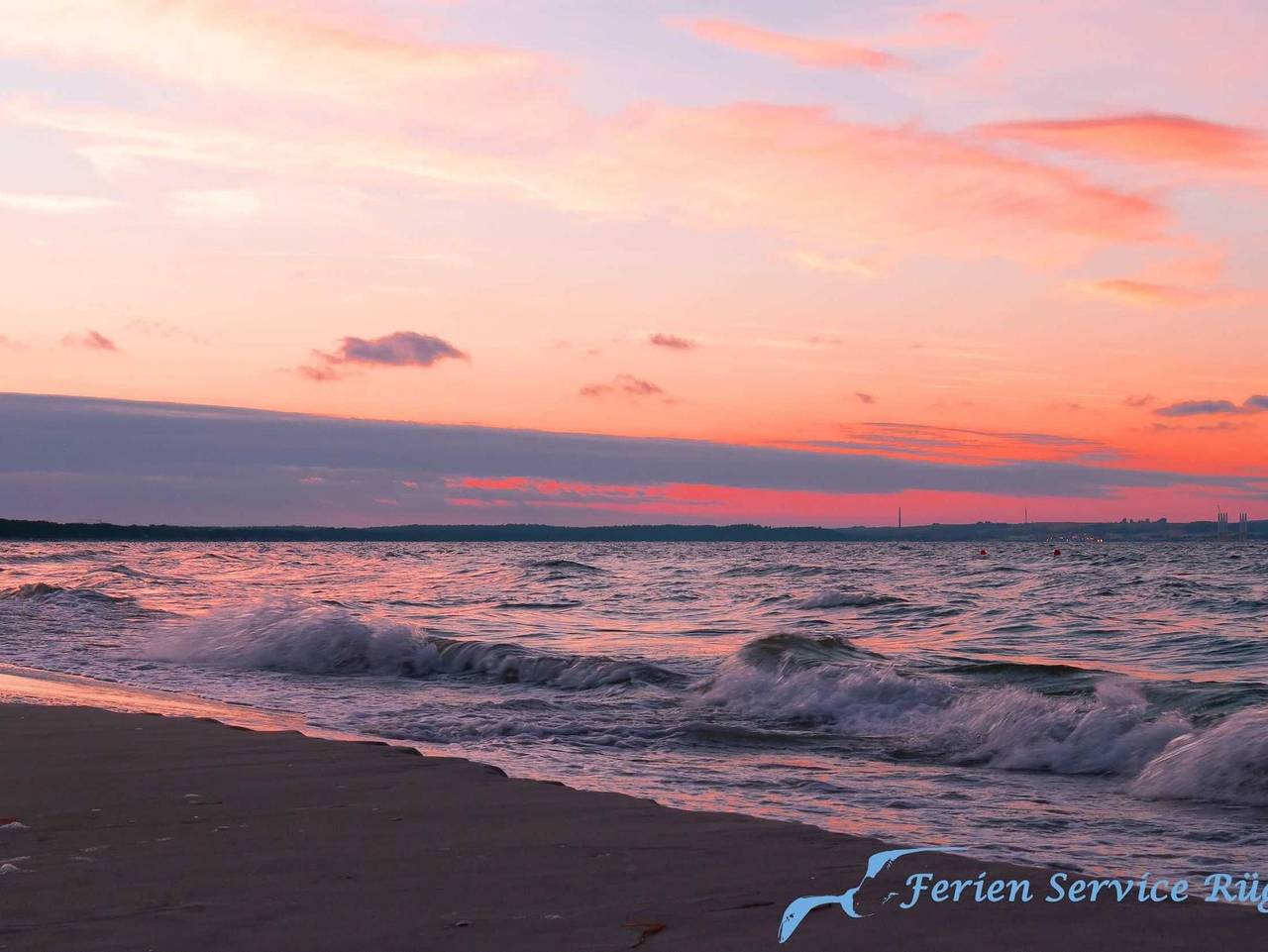 Ganze Ferienwohnung, Villa Vogelsang Fewo 10 Lachmöwe - Wohnung 10 Lachmöwe in Binz, Rügen