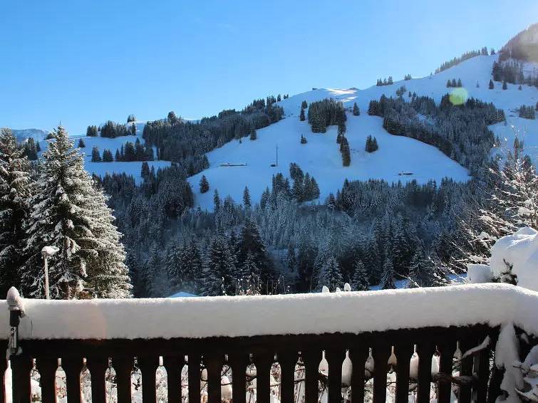 Chalet 4 Personnes in Gruyères, Canton of Fribourg