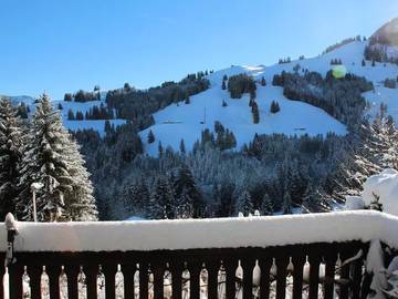 Gîte pour 4 personnes, avec terrasse dans Moléson