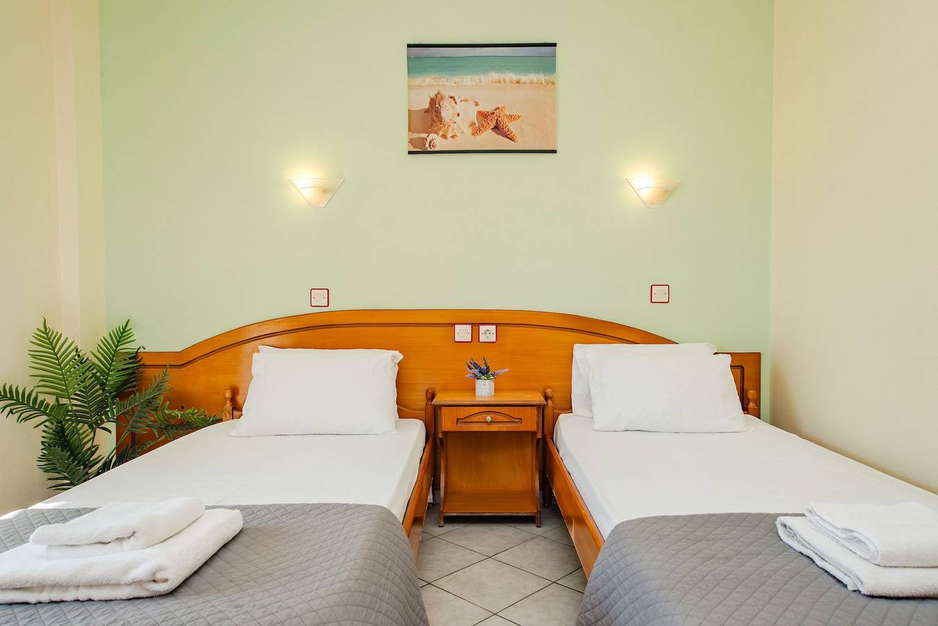 Gehele studio, Twin Standard – Economy Edition in Kavos, Corfu