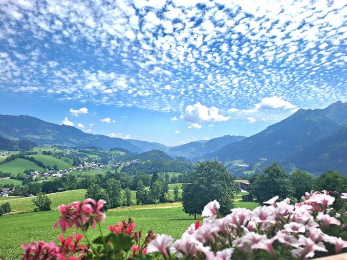 Holiday apartment for 4 people, with garden - 1