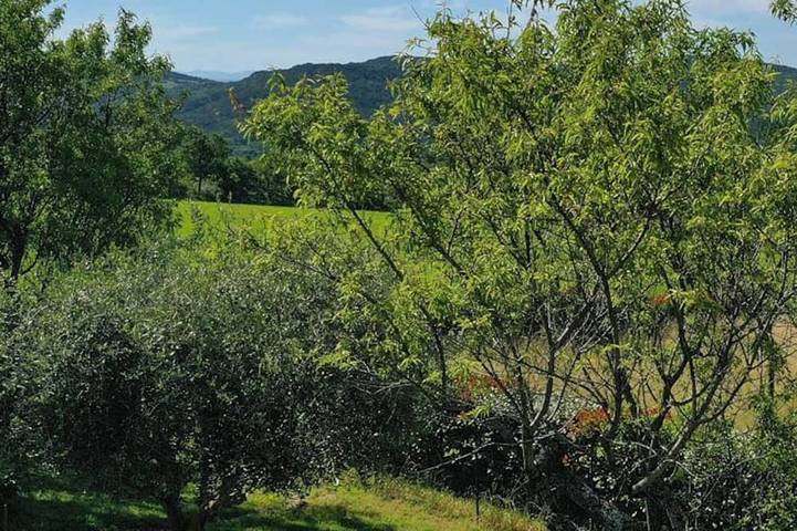 Location de vacances pour 8 personnes, avec terrasse et jardin à Saint-Étienne-les-Orgues - 4