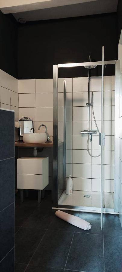 Gîte pour 3 personnes, avec vue et jardin à Lézat-sur-Lèze - 4