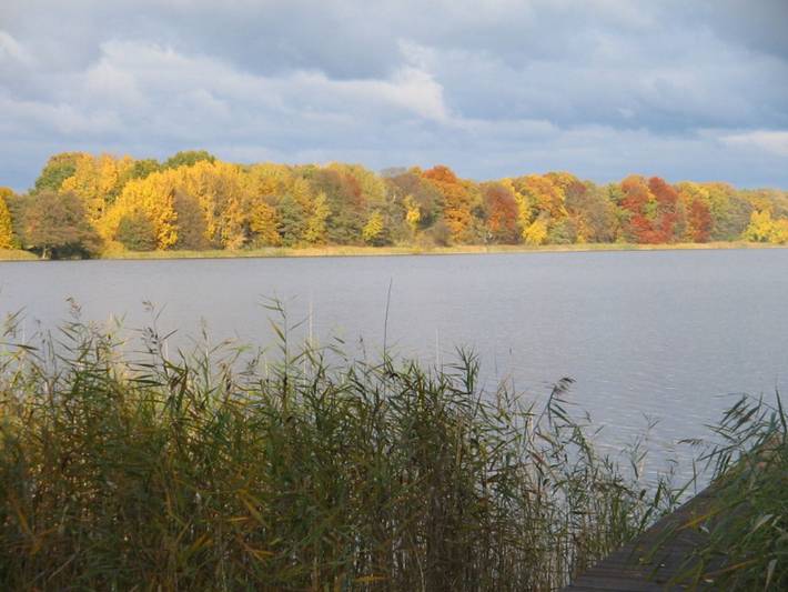 Ferienwohnung für 2 Personen, mit Garten und Seeblick in Mecklenburg-Strelitz - 3