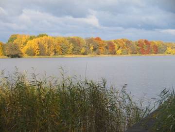 Ferienwohnung für 2 Personen in Priepert, Mecklenburg-Strelitz, Bild 2