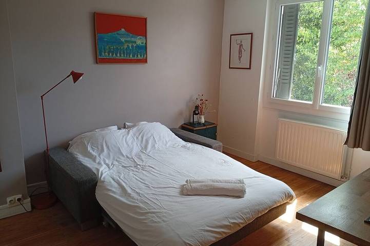 Large, cosy house near the town center in Nantes, Nantes region