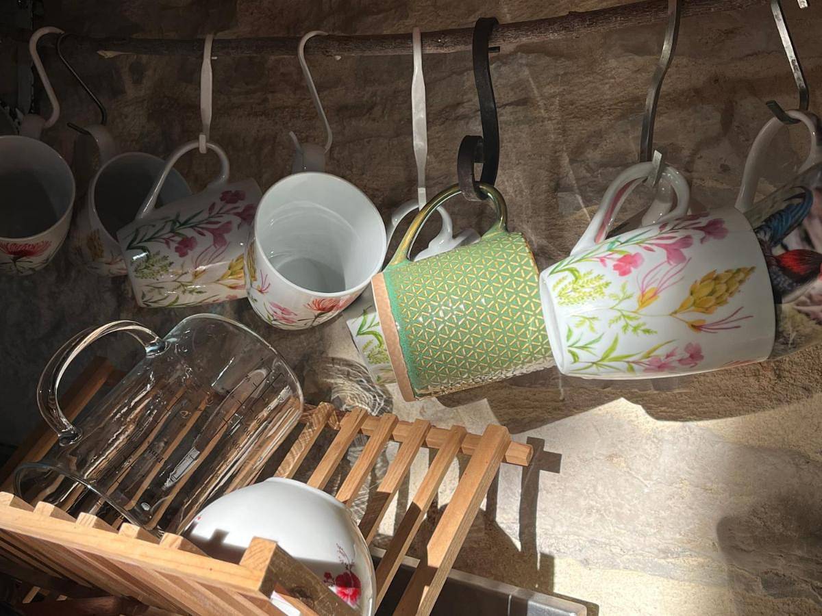 Eco-immersion in Limogne-en-Quercy, Quercy
