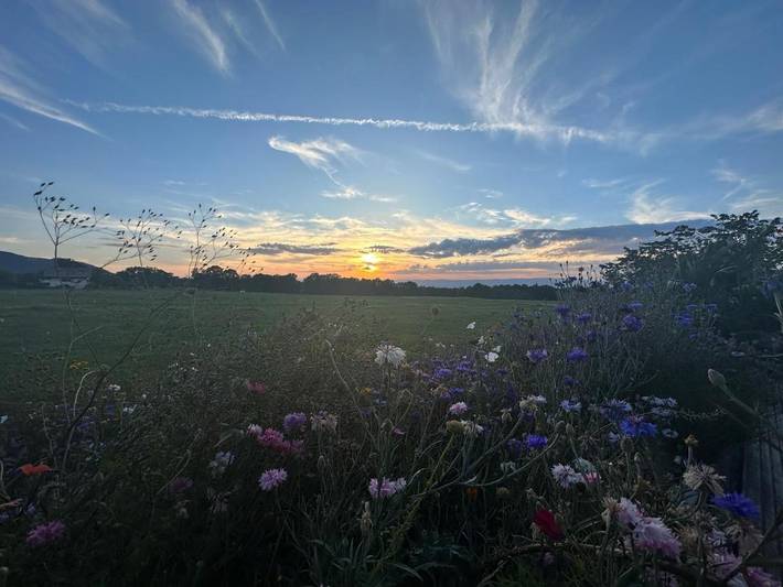 Gîte pour 2 personnes, avec jardin et vue à Vinzier - 2