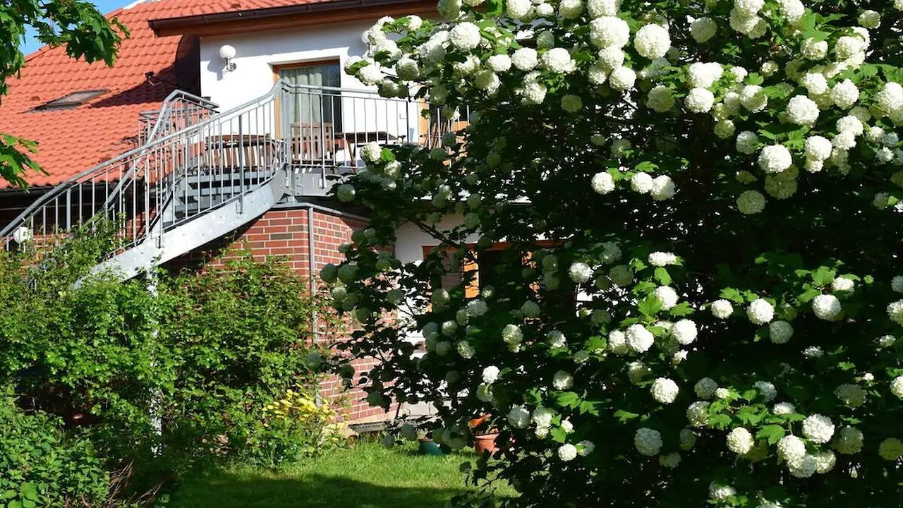 Ferienhaus für 4 Personen (50 m²) in Gingst in Gingst, Rügen