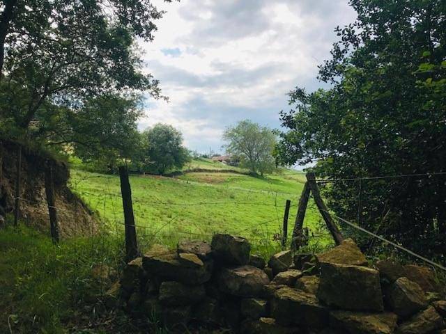 Casa de vacaciones para 8 personas, con jardín además de terraza y vistas, Se admiten mascotas en Cantabria - 3