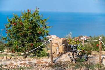 Glamping per 3 Persone in Tusa, Sicilia, Foto 3