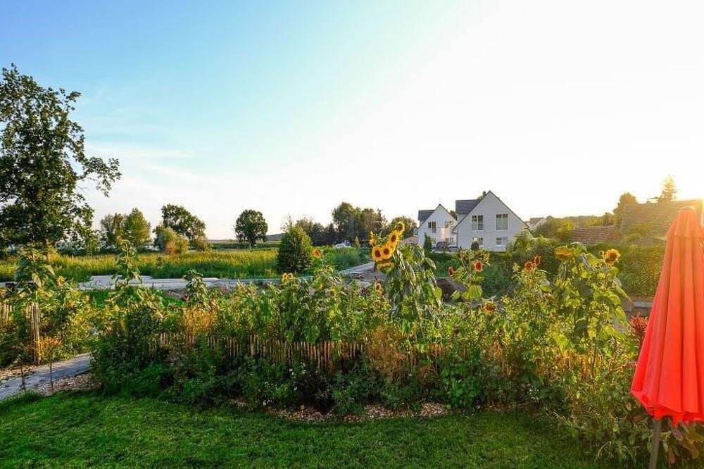 Seenixe in Altwarp, Vorpommern Greifswald