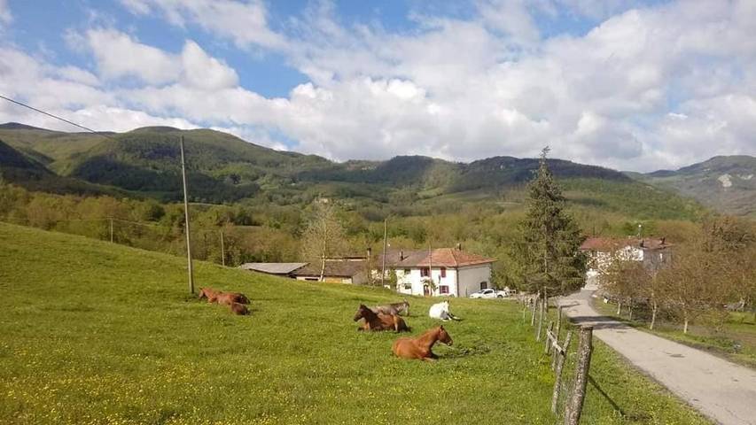 Agriturismo per 8 persone, con panorama in Provincia di Modena