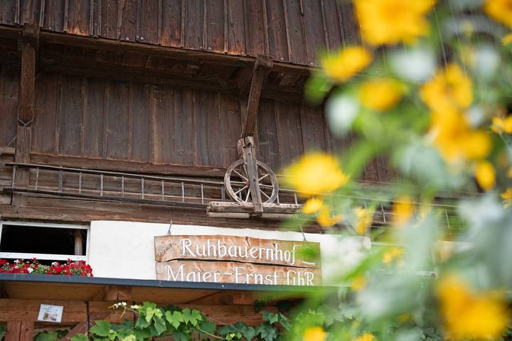 Ferienwohnung für 4 Personen, mit Garten in Kirchzarten - 3