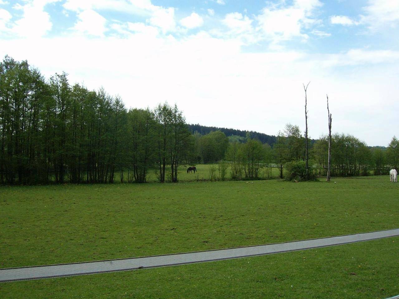 Ganze Wohnung, Three-Bedroom Apartment in Schillingsfürst, Romantische Straße
