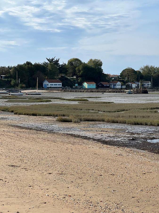 Gîte pour 2 personnes, avec terrasse à Bourcefranc-le-Chapus - 3
