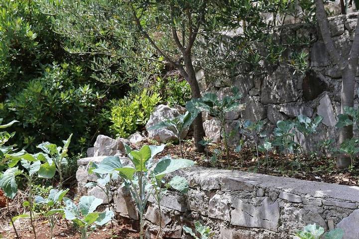 Ganze Wohnung, Studio Appartement am Strand Kabli, Peljesac in Dubrovnik-Neretva