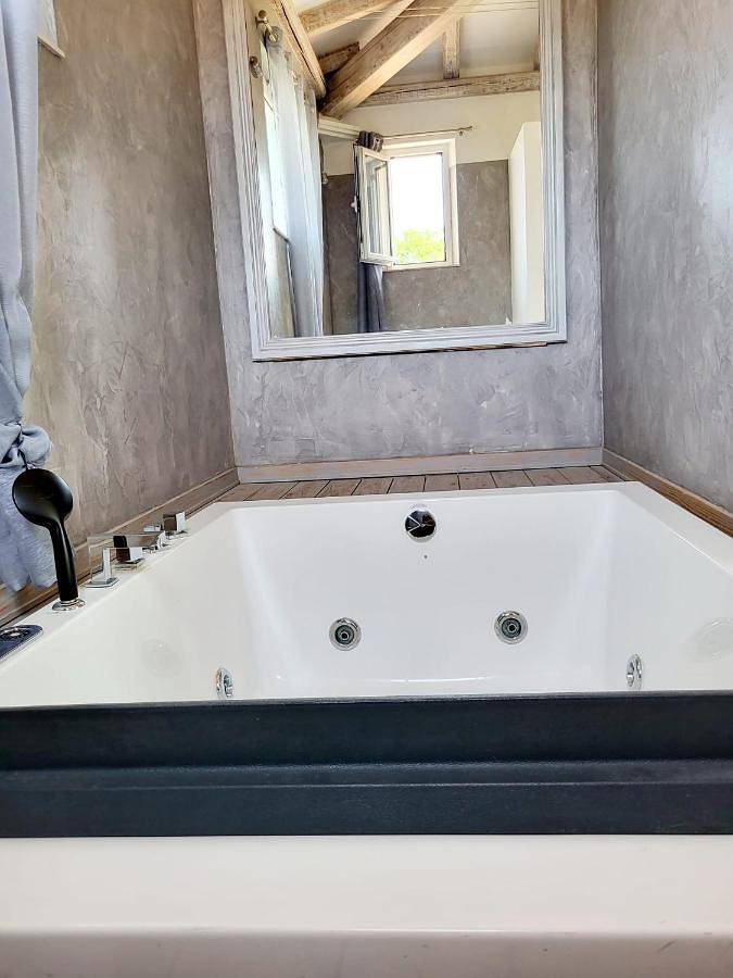 Villa pour 8 personnes, avec piscine ainsi que vue et jardin, animaux acceptés à Biot - 2