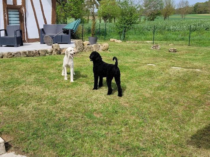 Location de vacances pour 2 personnes, avec piscine ainsi que vue et jardin, animaux acceptés à Sérignac-Péboudou - 2