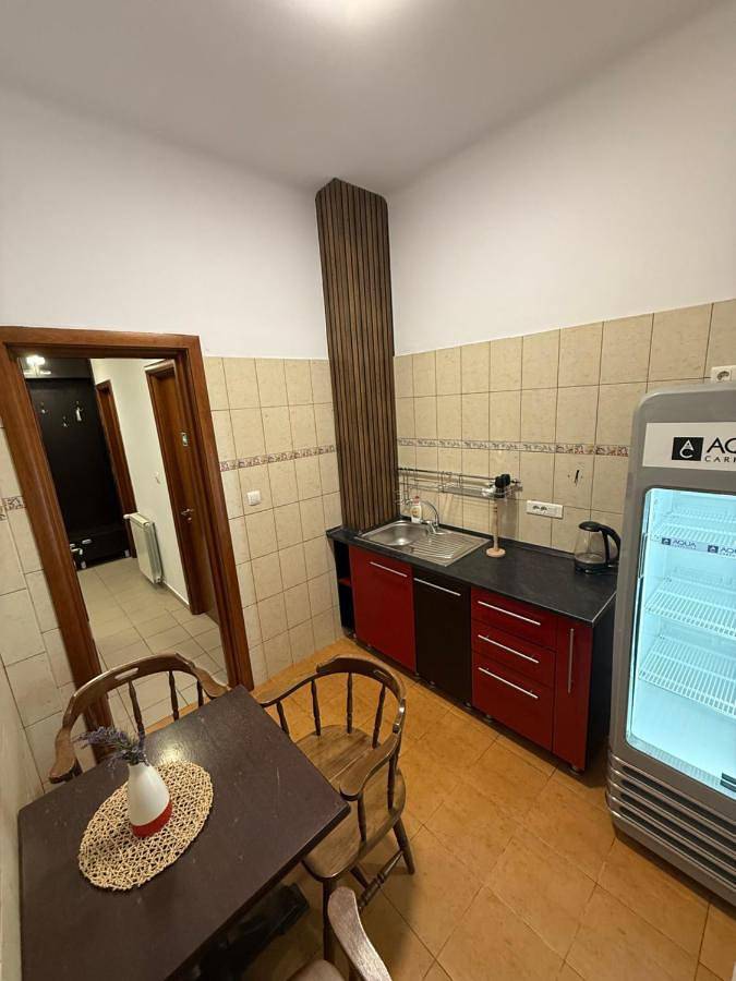 Chambre d’hôte pour 2 personnes, avec terrasse ainsi que jardin et vue à Bucarest - 2