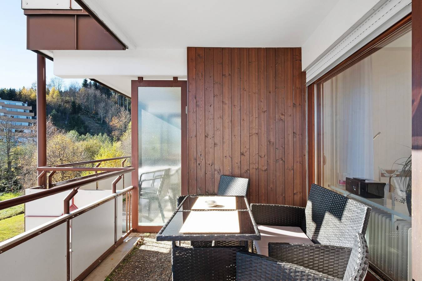 Ganze Wohnung, Ferienwohnung 'Fw Moonlight Mit Sauna, Schwimmbad' mit Bergblick, Balkon und Wi-Fi in Schönwald, Südschwarzwald