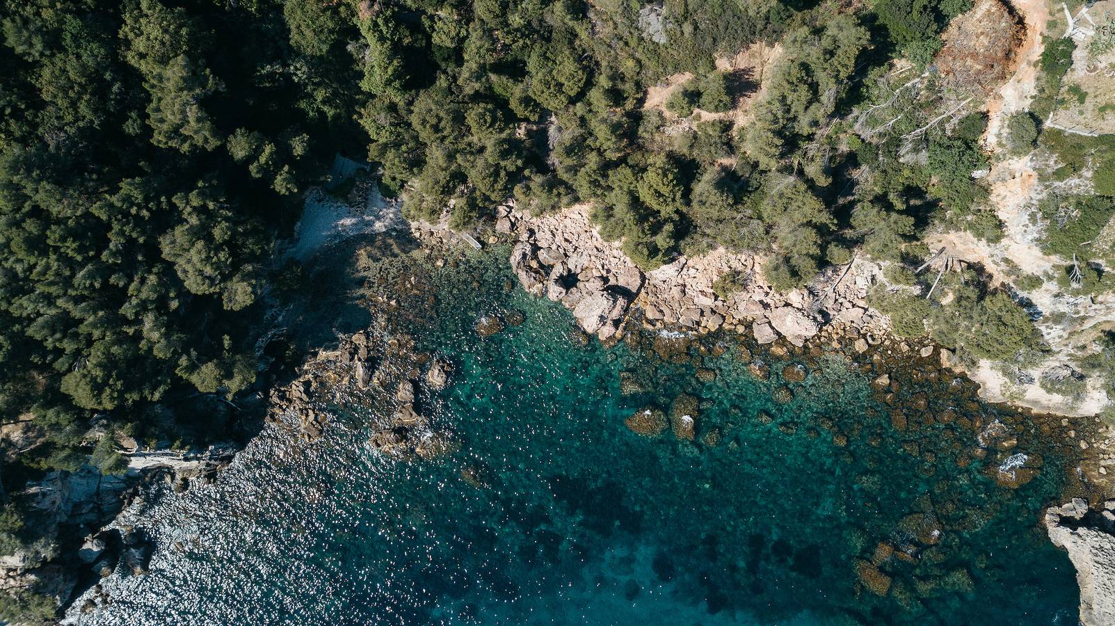 Villa la Bastide - Côte d'Azur pied dans l'eau in Le Pradet, Région De Toulon