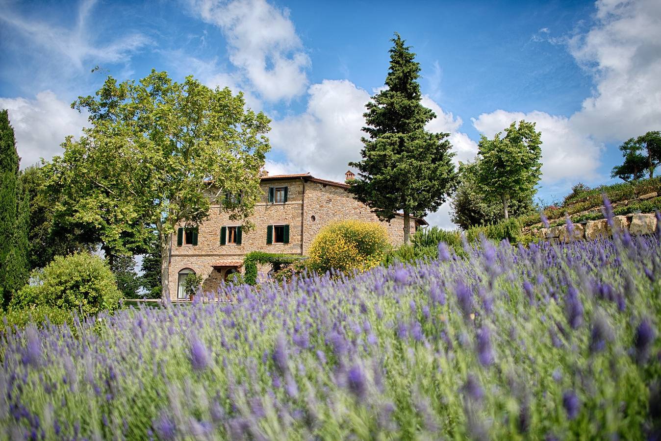 Appartamento vacanze a Chianti a partire da 585€ a notte