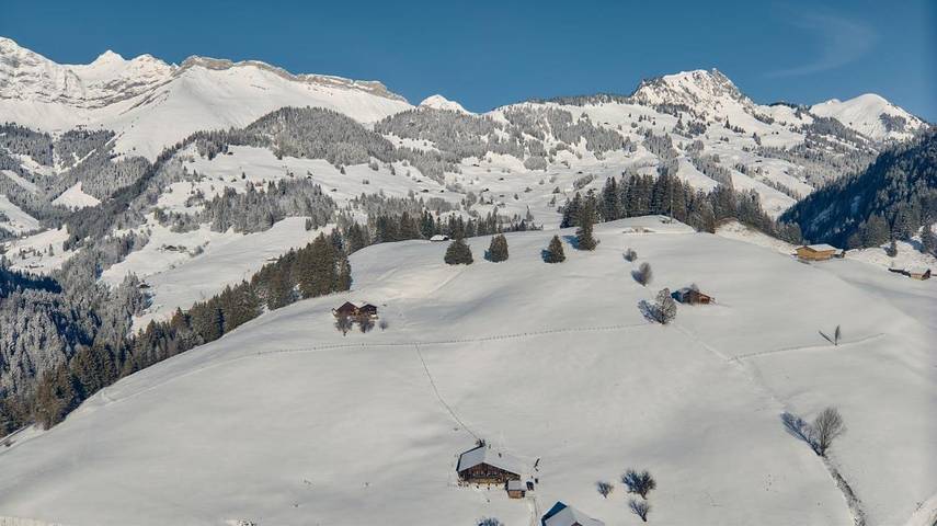 Gîte pour 14 personnes, avec jardin ainsi que sauna et jacuzzi à Rougemont - 4