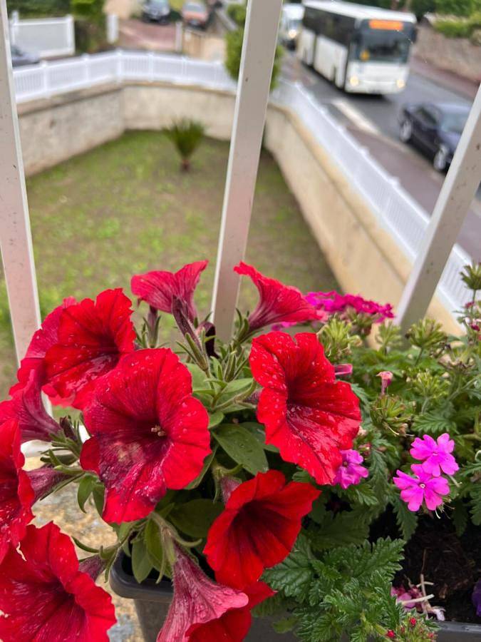 Location de vacances pour 2 personnes, avec jardin et vue à Montebourg - 3