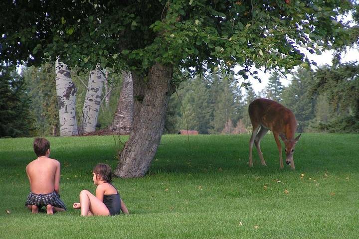 Vacation rental for 4 people, with balcony and pool as well as hot tub in Whitefish