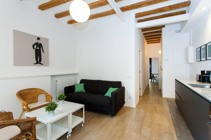 Entire apartment, Gracia Terrace in Barcelona Centre, Barcelona