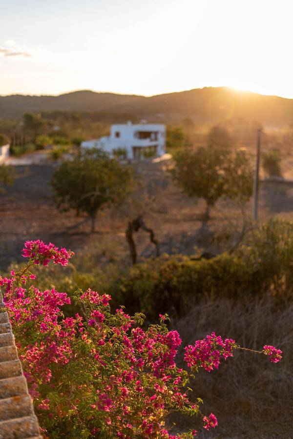 Gîte pour 12 personnes, avec vue et sauna ainsi que jardin et piscine, animaux acceptés à Santa Gertrudis de Fruitera - 3