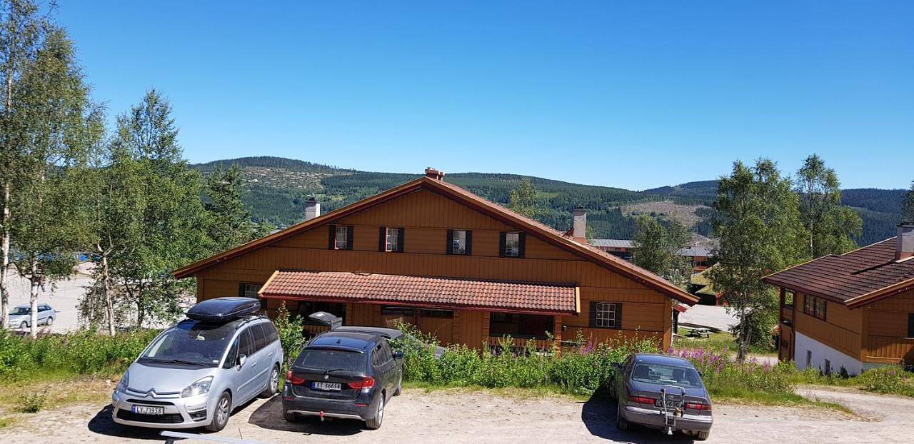 Solbjørnlia Apartments in Innbygda, Trysil