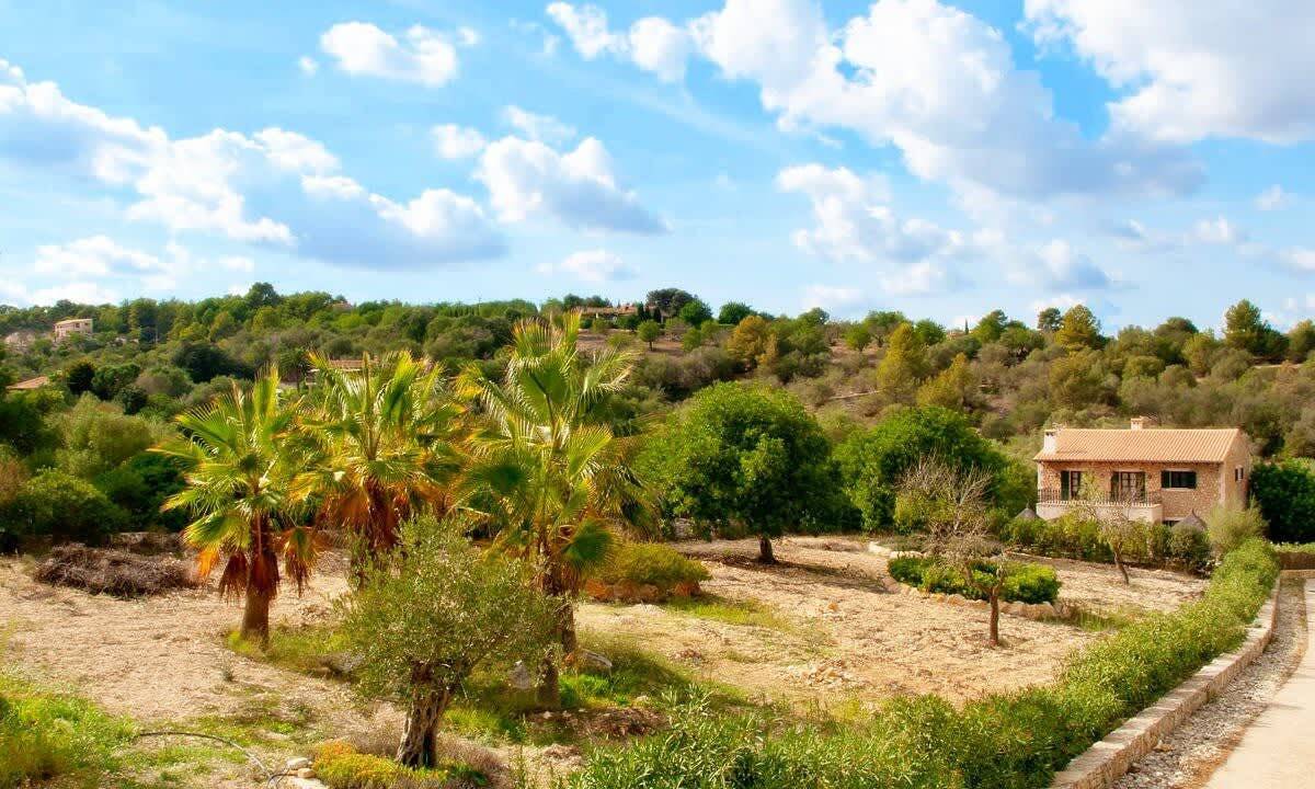 Villa Sa Sinia in Petra in Petra, Majorca Center