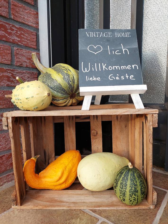 Ferienhaus für 6 Personen, kinderfreundlich in Rheinland-Pfalz - 4