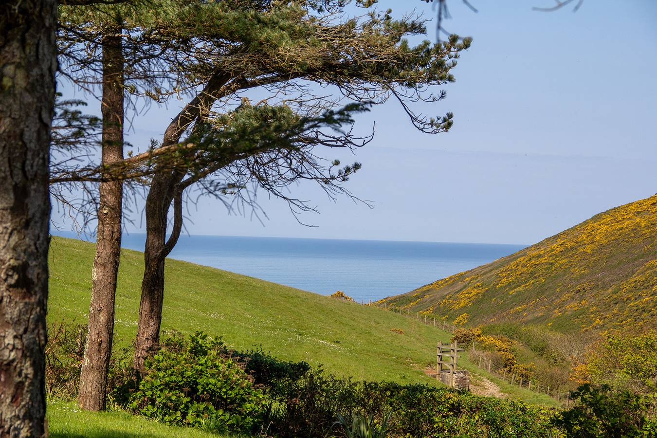 Carrows Stable in Cornwall