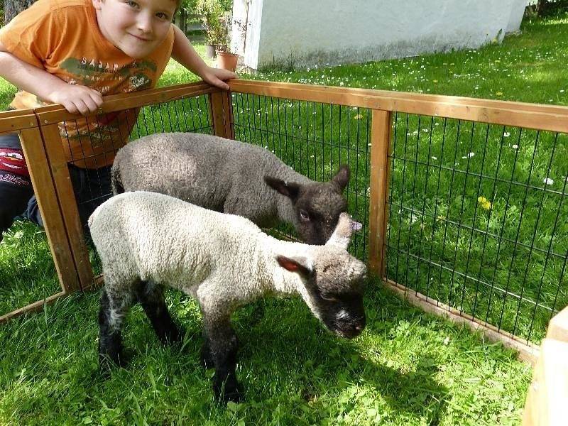 Entire holiday apartment, Ferien am Bauernhof, Wohnung 3 in Rangersdorf, Oberkärnten