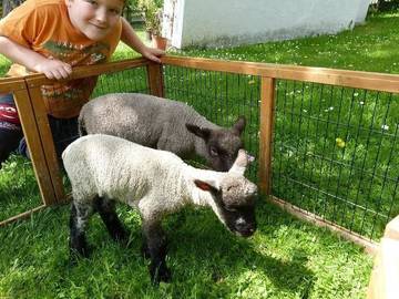 Bauernhof für 3 Personen in Rangersdorf, Oberkärnten, Bild 4