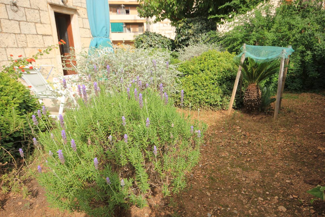 Ganze Wohnung, Studio Appartement mit Klima Vis As-1170-a in Vis Stadt, Vis