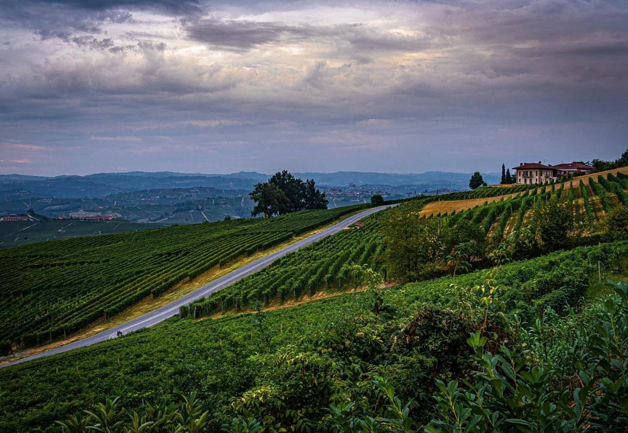 Ganze Wohnung, Sul Bric Dei Capalot in La Morra, Langhe
