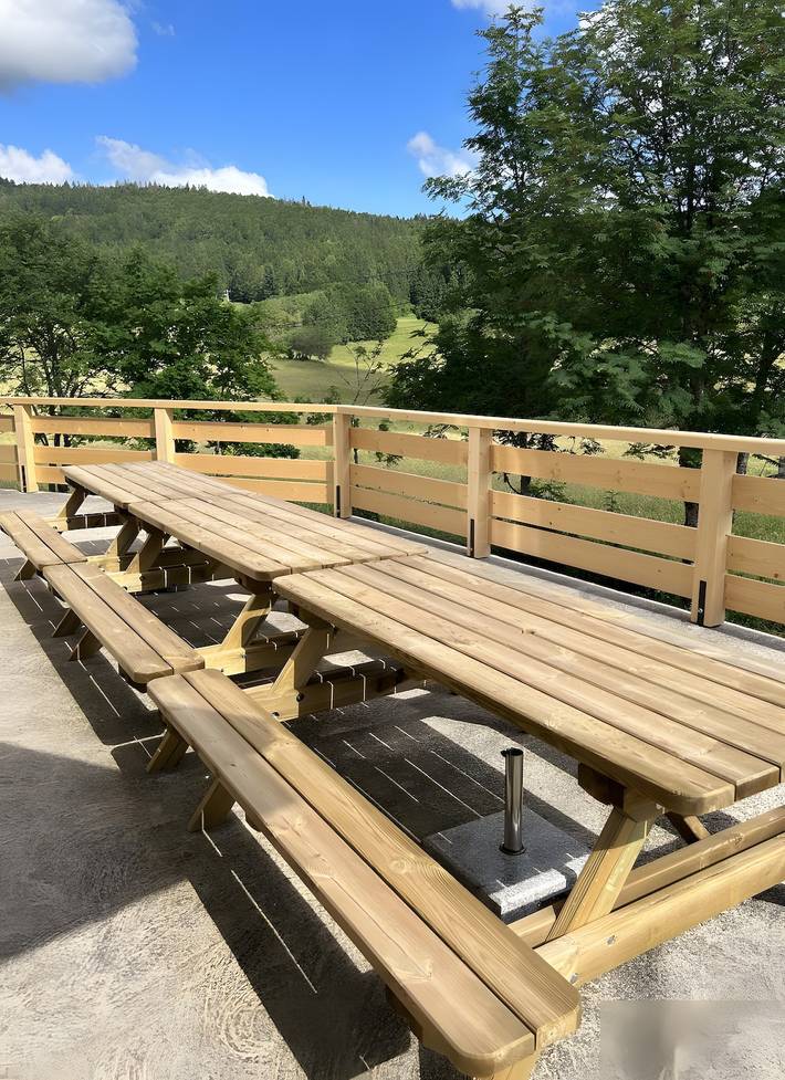 Gîte de grupo para 21 personas: vistas a la montaña y gran terraza in Longchaumois, Parc naturel régional du Haut-Jura