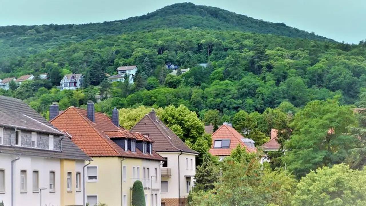 Ganze Ferienwohnung, Ferienwohnung für 6 Personen (74 m²) in Neustadt an der Weinstraße in Neustadt-Stadtmitte, Neustadt an der Weinstraße