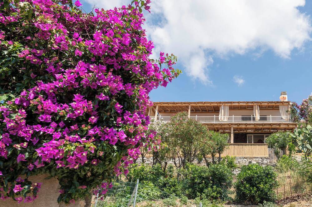 Ganze Wohnung, Zweizimmerwohnung Montecristo in Spiaggia Fetovaia, Campo nell'Elba