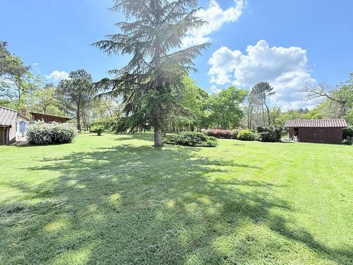 Location de vacances pour 8 personnes, avec terrasse et jardin ainsi que piscine et vue, animaux acceptés à Luxey - 4